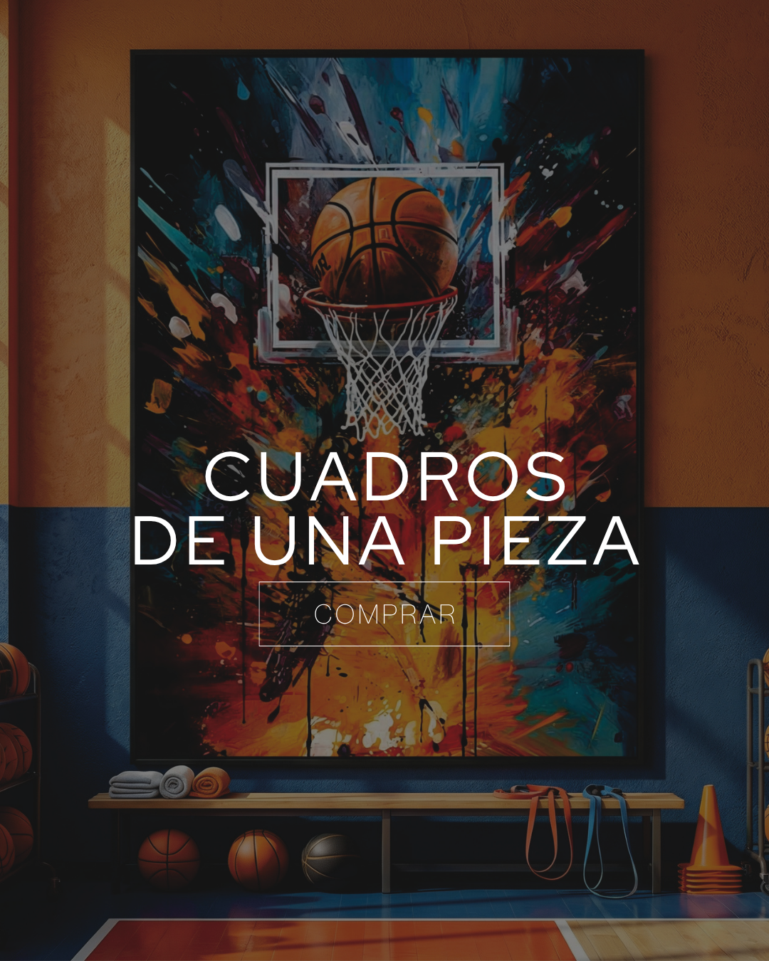 Cuadros Una Pieza