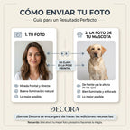 Retrato Medio Rostro R92 (Precio por Unidad )
