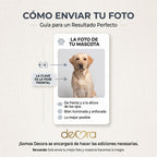 Miradas Que Enamoran R93 (Precio por Unidad )