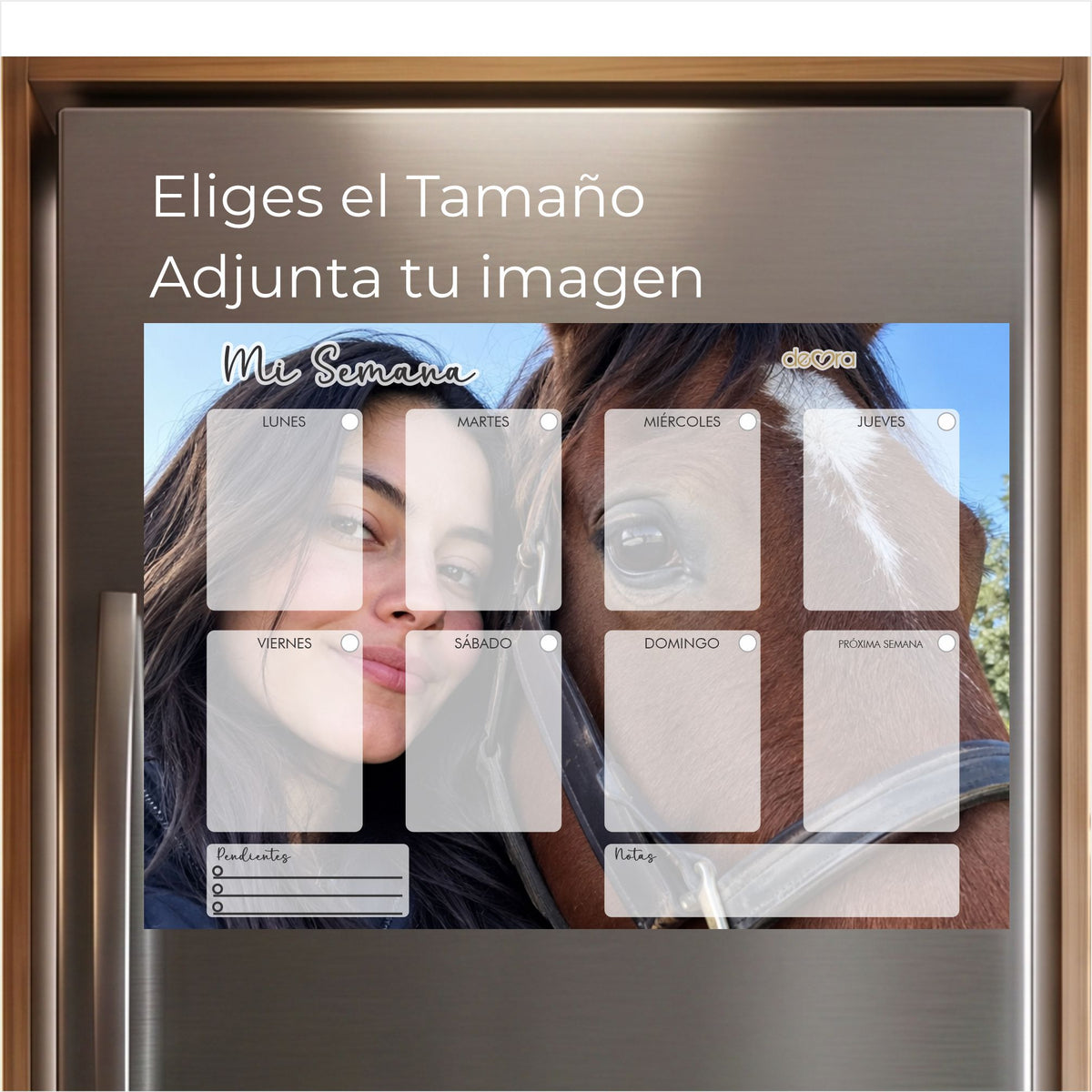 Colección Picture