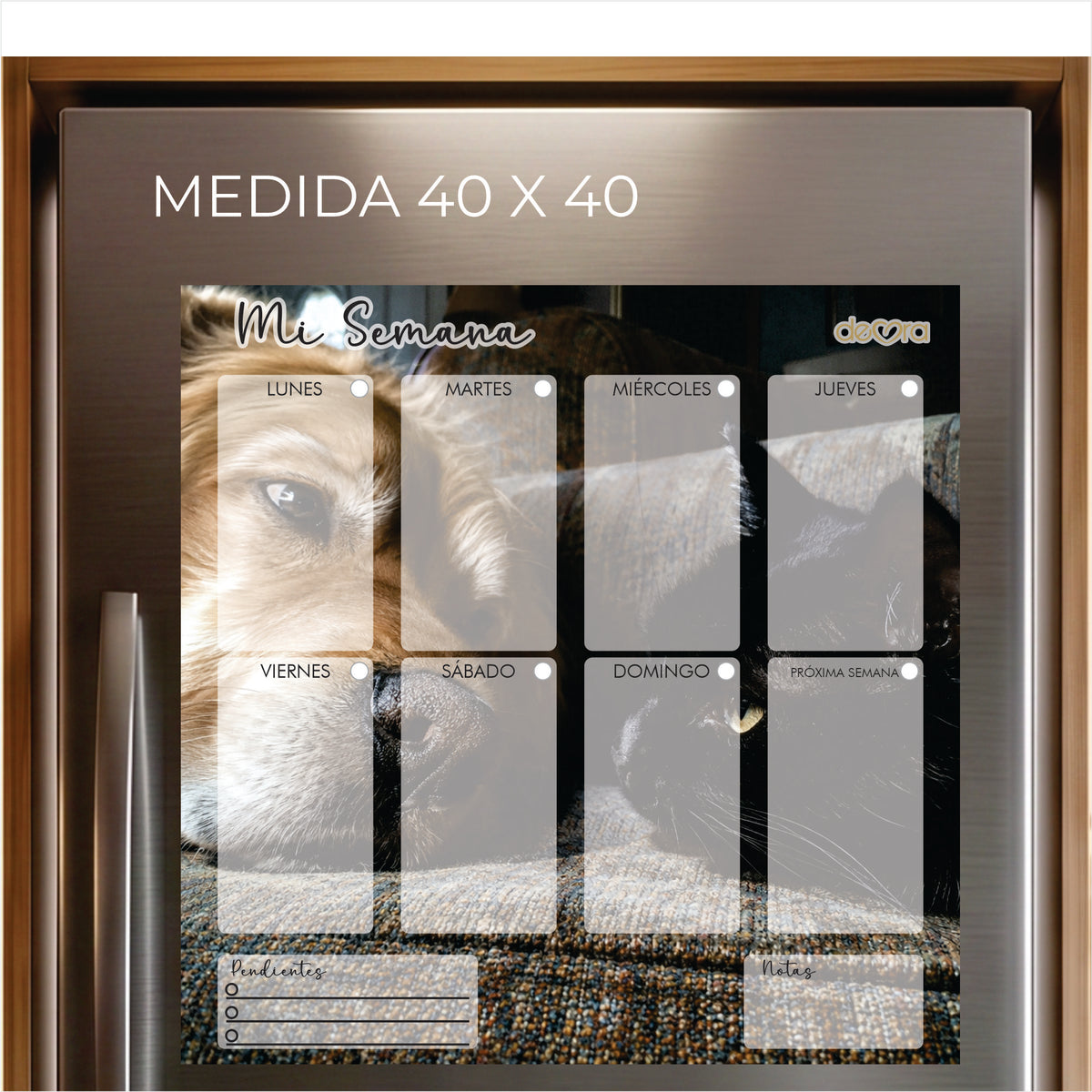 Colección Picture