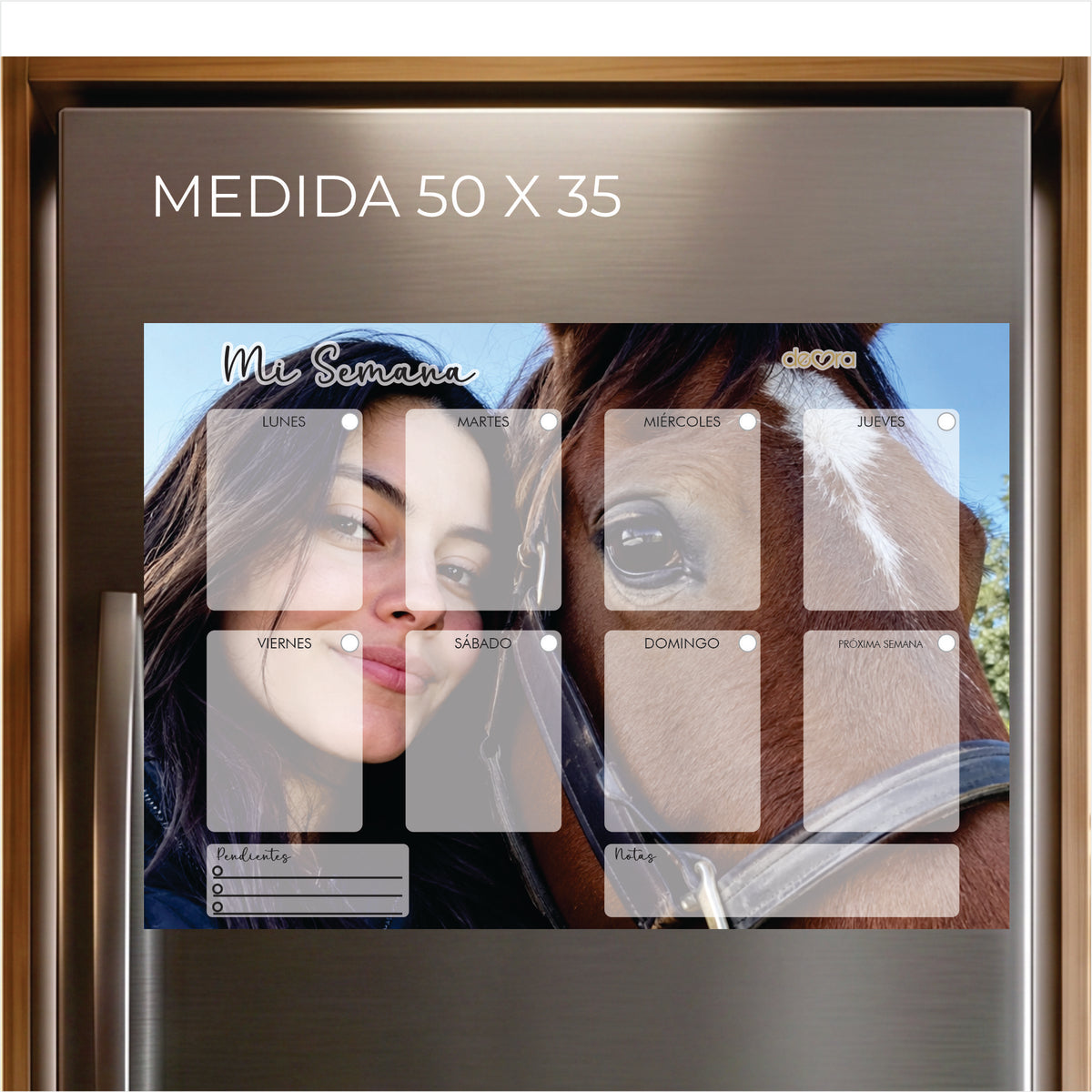Colección Picture